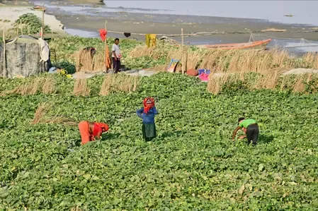India's Union Budget 2026-27: A Shift to Crop-Specific Strategies for High-Value Agriculture