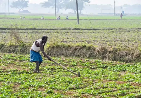 How is the Government Ensuring Record Fertiliser Availability for Farmers at 834.64 Lakh Tonnes in 2024-25?