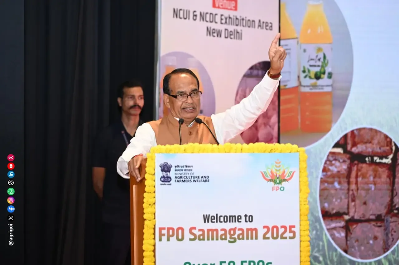 What Actions is the Government Taking Against Counterfeit Seeds and Pesticides?