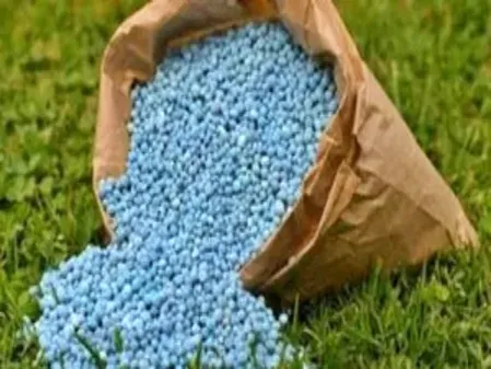 Fertiliser subsidy bill to rise ₹15,000 crore amid West Asia crisis