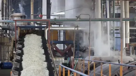 How is the government’s decision to increase sugar export quota going to support the demand-supply scenario?