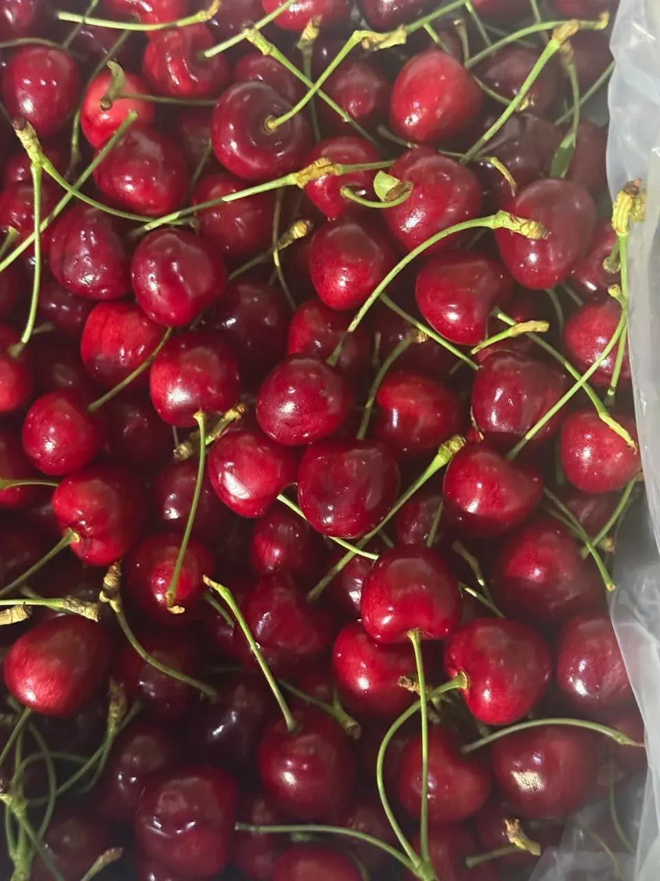Goyal flags J&K cherry, plum export to UAE markets