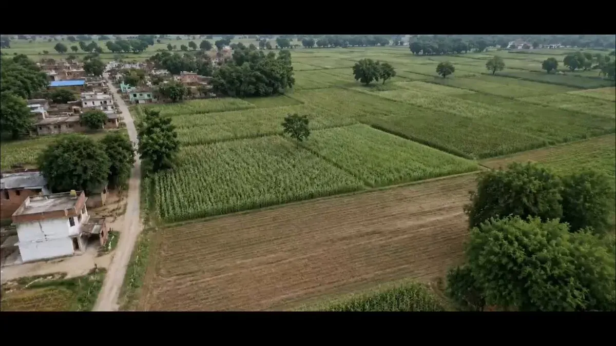 Goyal marks 12 years of Modi govt farm welfare schemes