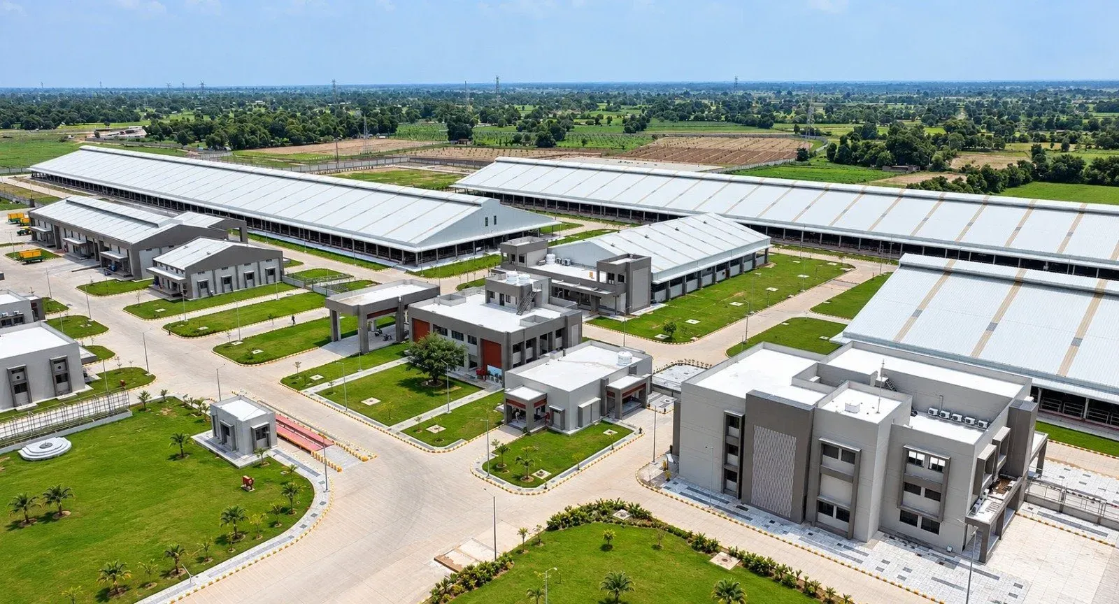Goyal: PM Modi to launch 127-acre Bovine Centre in Banaskantha