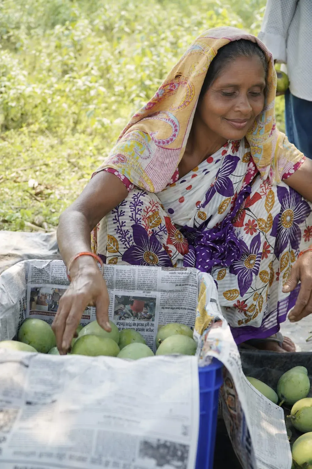 Goyal: Simdega Women Farmers to Export Amrapali Mangoes to UK