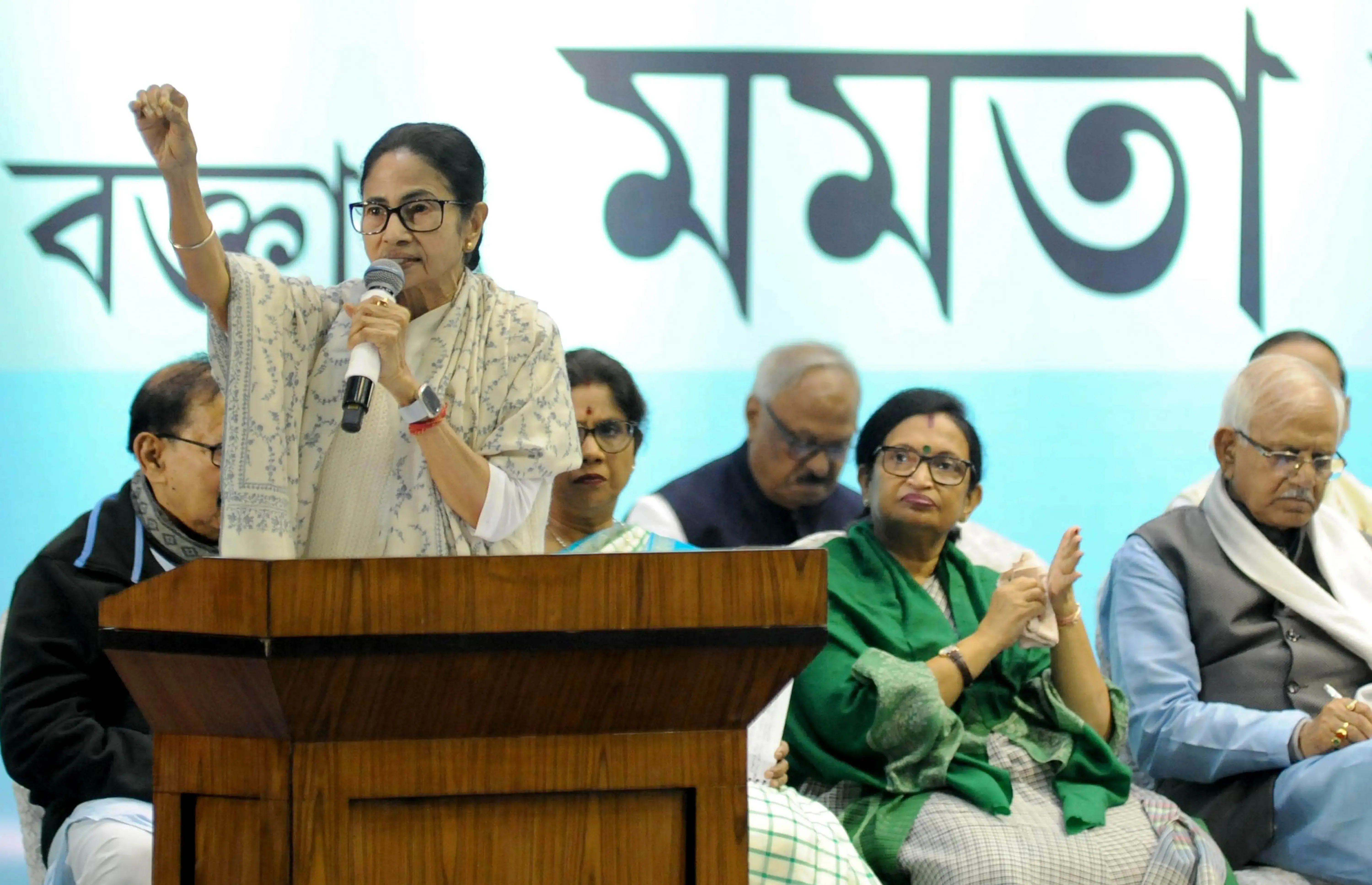 What Did Mamata Banerjee Say About ECI's SIR Exercise?
