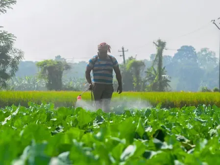उर्वरकों और कृषि उत्पादों पर जीएसटी में कटौती से खेती की लागत में कमी आई : केंद्र