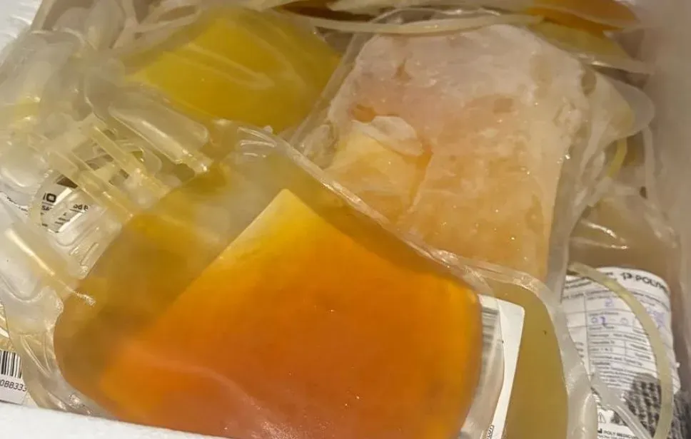 Gujarat plasma scam: All 1,140 seized units adulterated, probe reaches Maharashtra blood banks