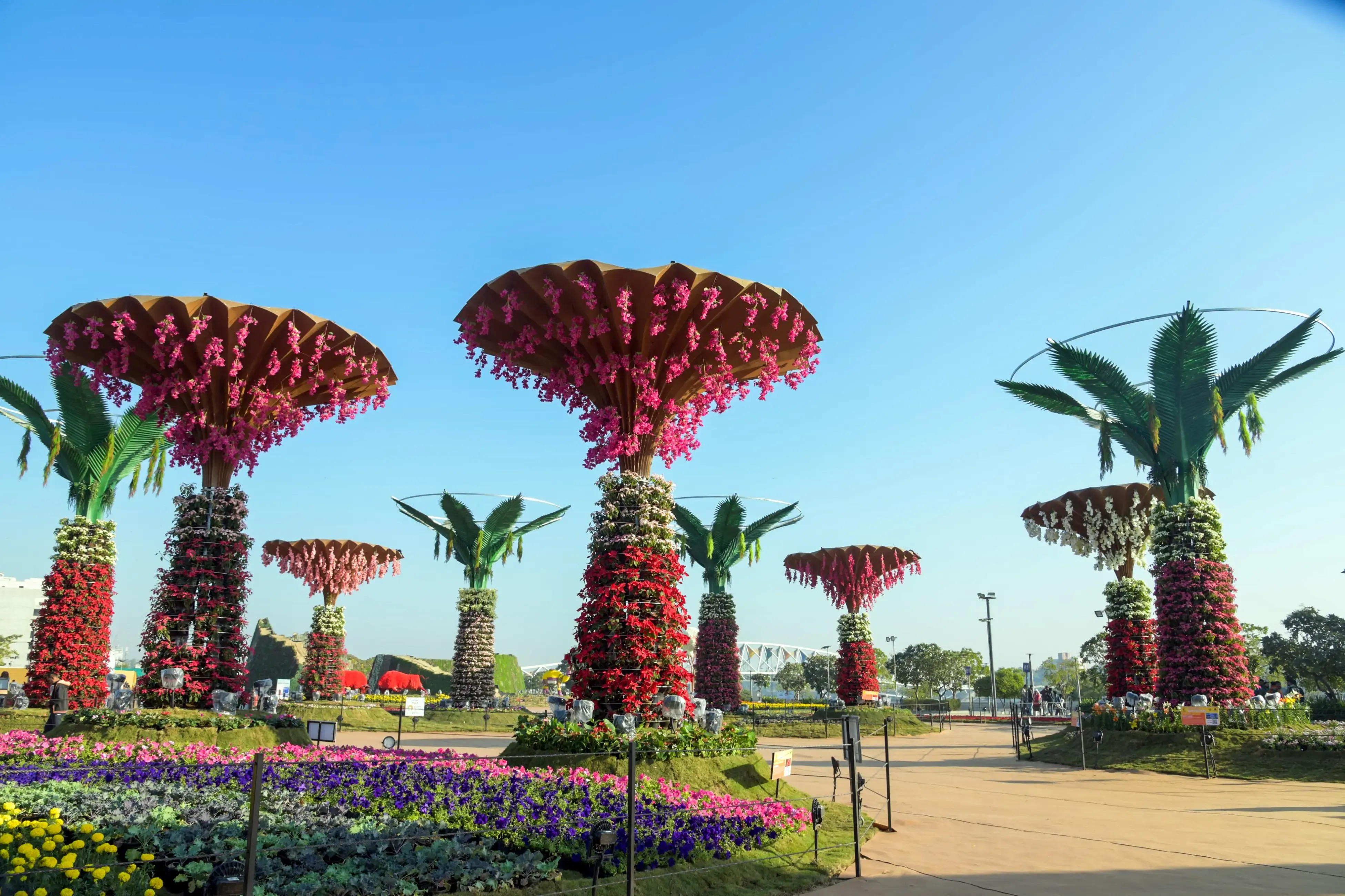Will the Ahmedabad Flower Show 2026 Dazzle at Sabarmati Riverfront?