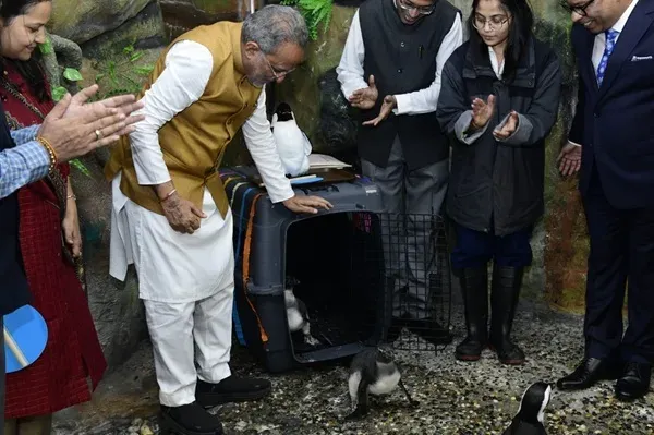 Ahmedabad Science City gets two penguin chicks as Space Festival 2026 begins