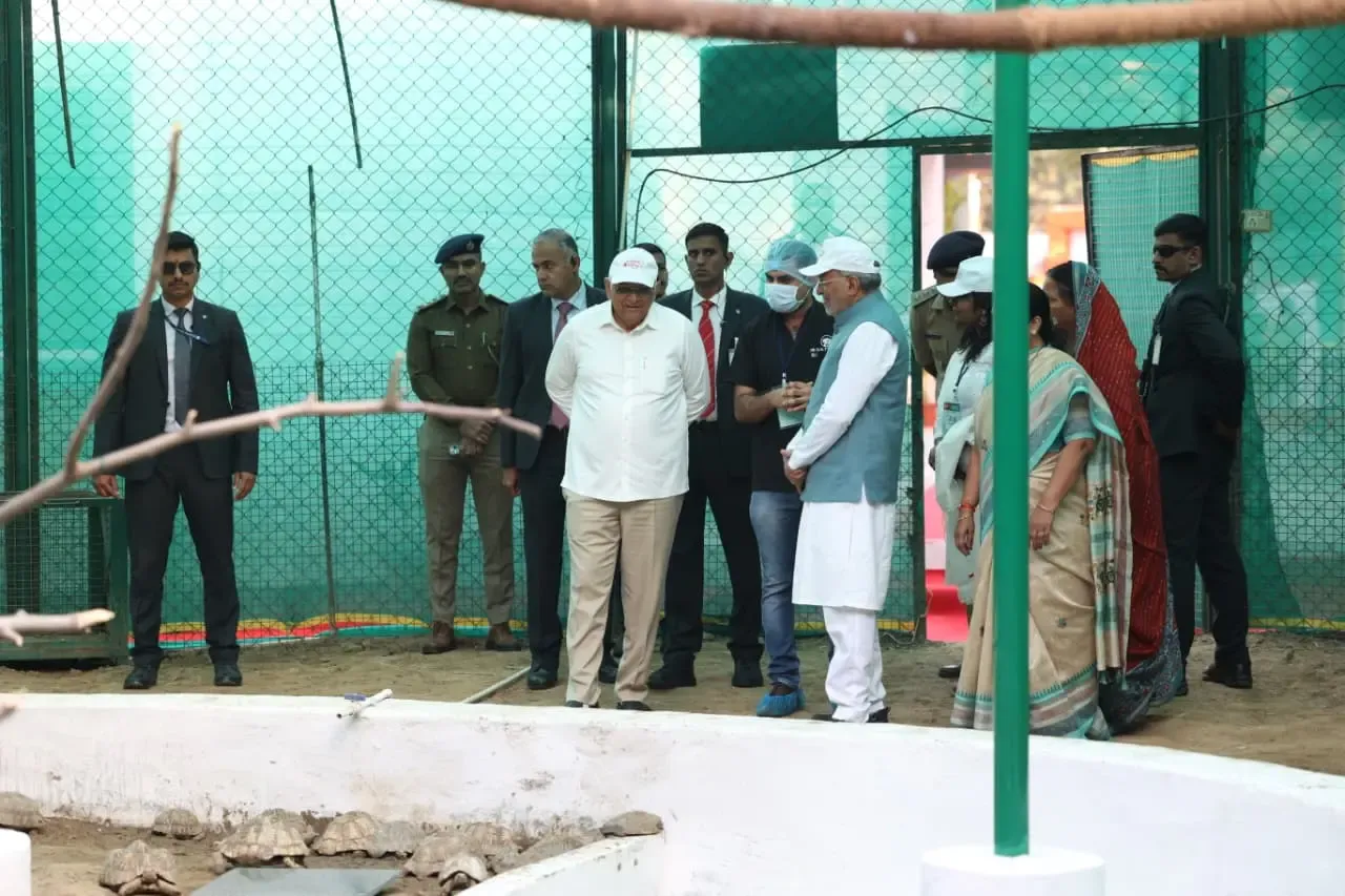How is Gujarat CM Enhancing Wildlife Care During Karuna Abhiyan?