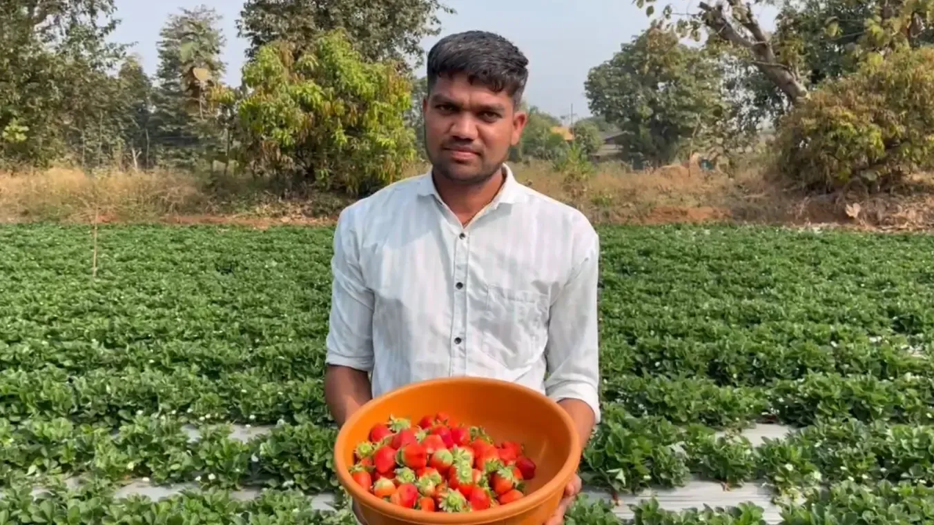 How Are Dang Farmers Transitioning from Traditional to Modern Farming?