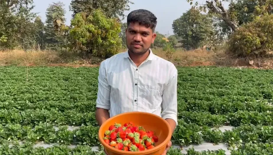 क्या जिग्नेश भोए ने पारंपरिक खेती में नई तकनीक का प्रयोग कर लाखों कमाए?