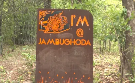 Dhanpuri Eco-Tourism Centre in Panchmahal, Gujarat draws weekend crowds