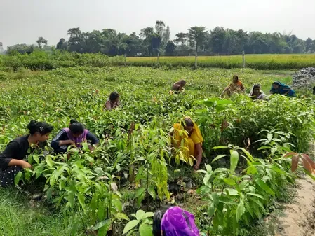 Gujarat Farmers No Longer Require Co-Owner Consent for Agricultural Power Connections