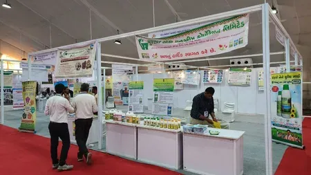Kesar Mango Festival 2026: Gujarat farmers sell direct at Vastrapur Haat from May 16
