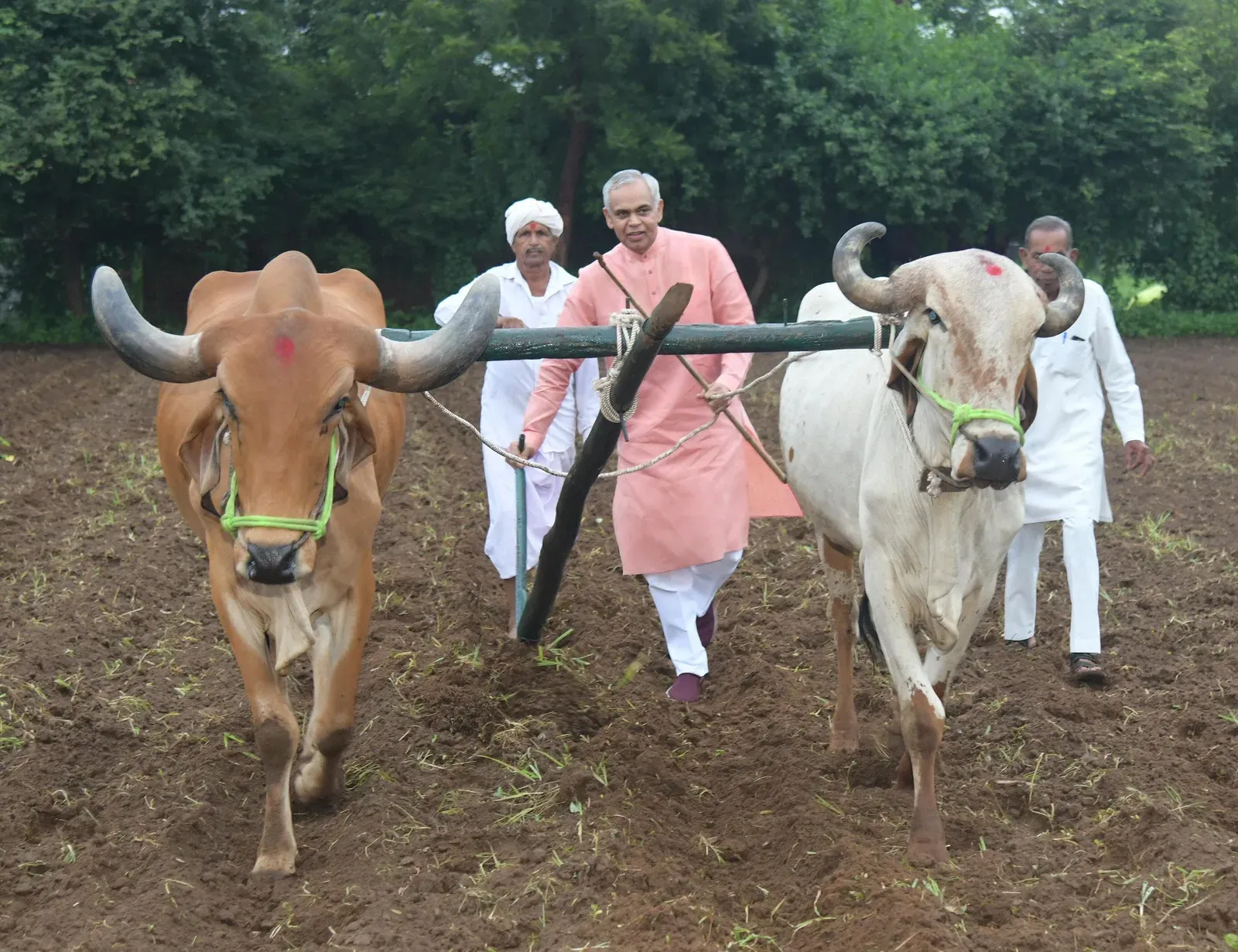 Gujarat Governor Devvrat backs natural farming at Anand visit, warns on soil damage