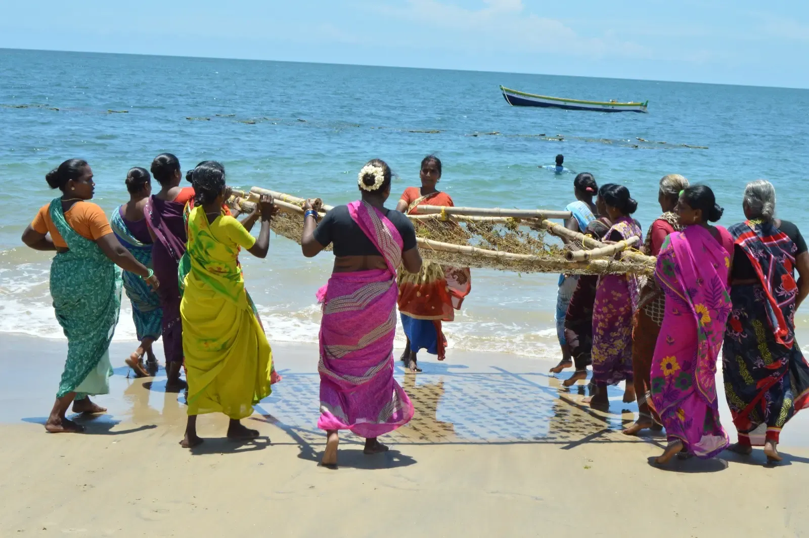 Gujarat plans ₹100-crore Marine Biotech Corridor in Porbandar over 5 years