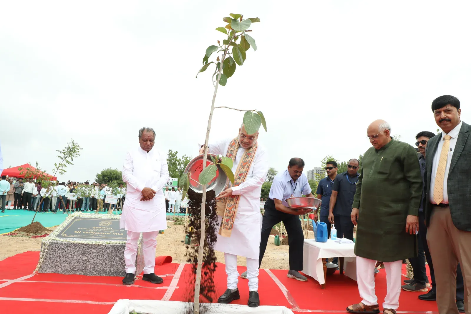 Amit Shah, CM Patel plant saplings under AMC's Mission Five Million Trees in Ahmedabad