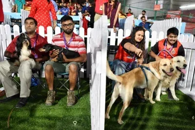 Ahmedabad pet registration: 19,756 dogs logged; Labradors top breed list