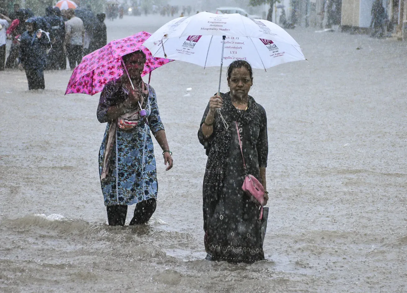 Gujarat monsoon: Vapi logs 8+ inches as 225 talukas see rainfall in 24 hours