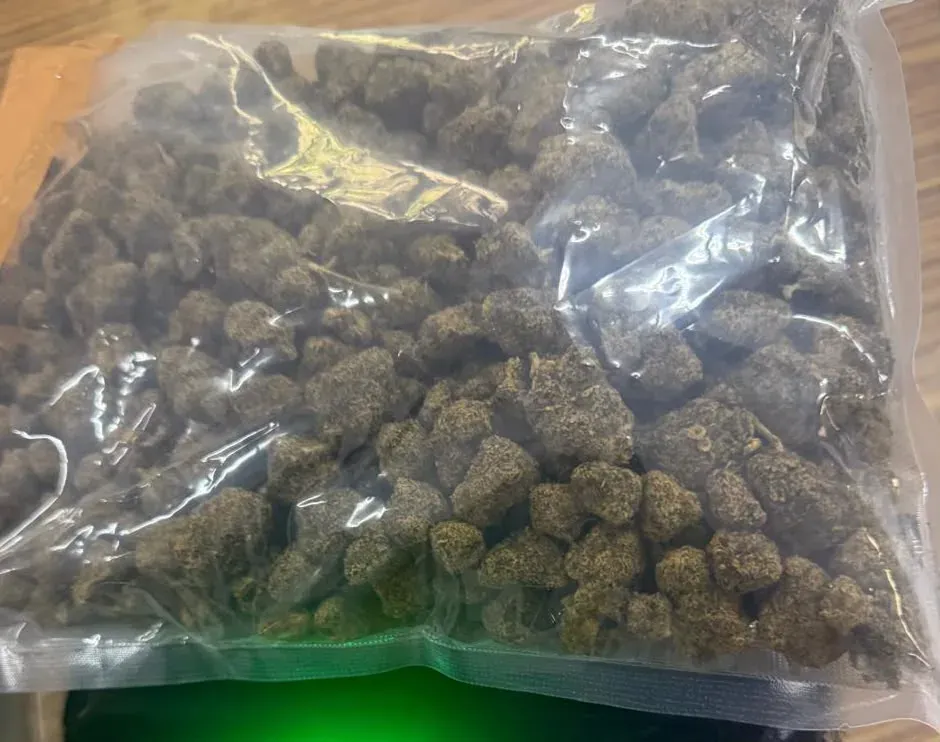 Ahmedabad Customs seizes 467.5g suspected ganja from Thailand parcel