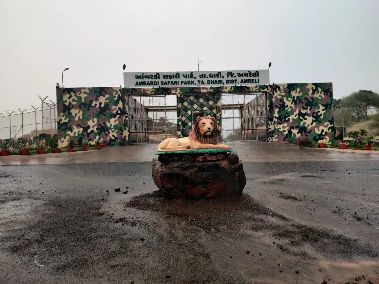 Gujarat builds 100-hectare lion enclosure at Ambardi Park for human-attack cases