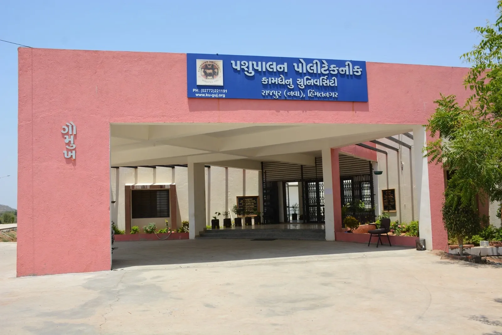 Is Gujarat Welcoming Its 5th Veterinary College in Himatnagar?