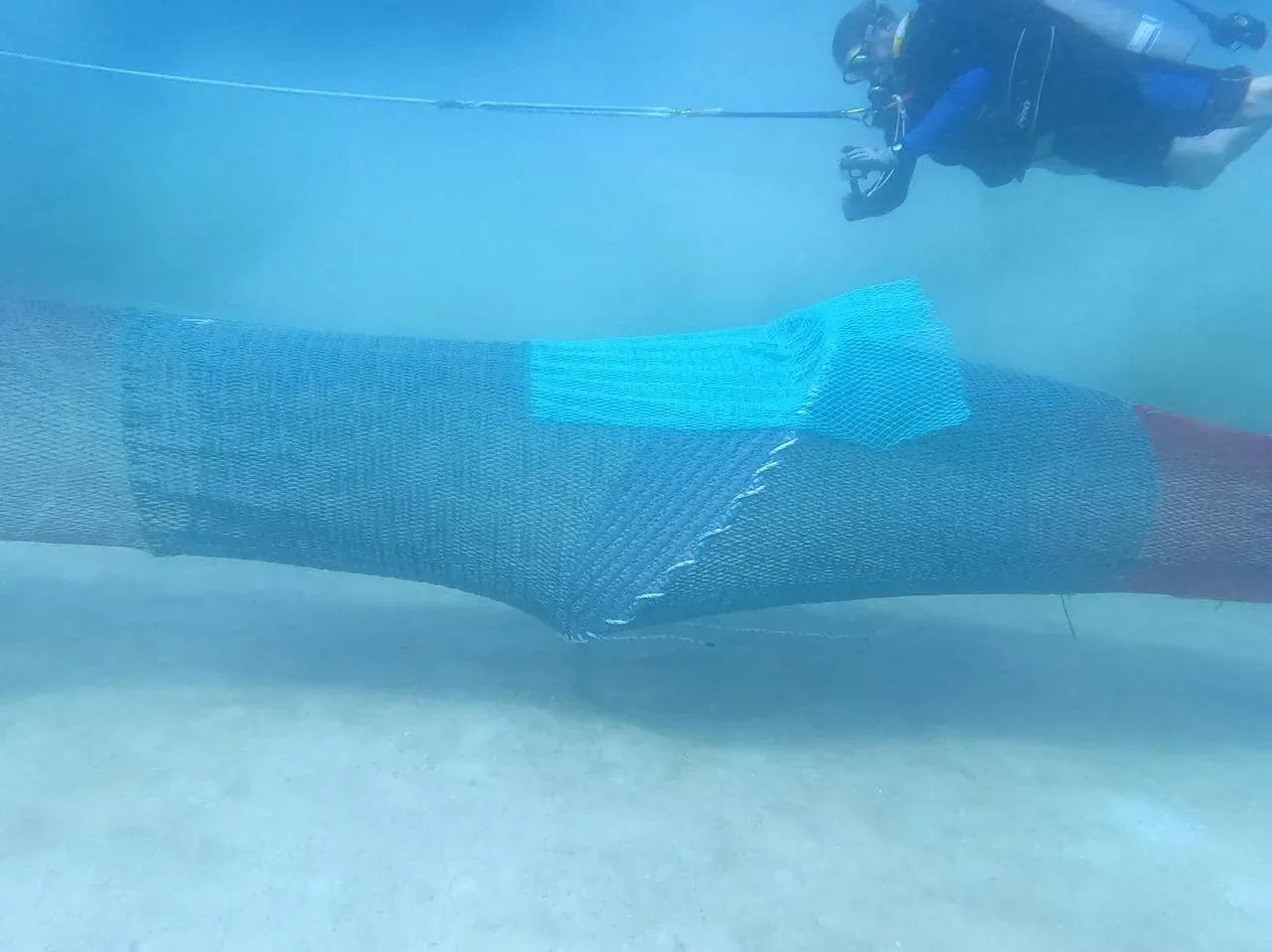 Gujarat to deploy 8,925 Turtle Excluder Devices in fishing nets under ₹20.96 crore PMMSY plan
