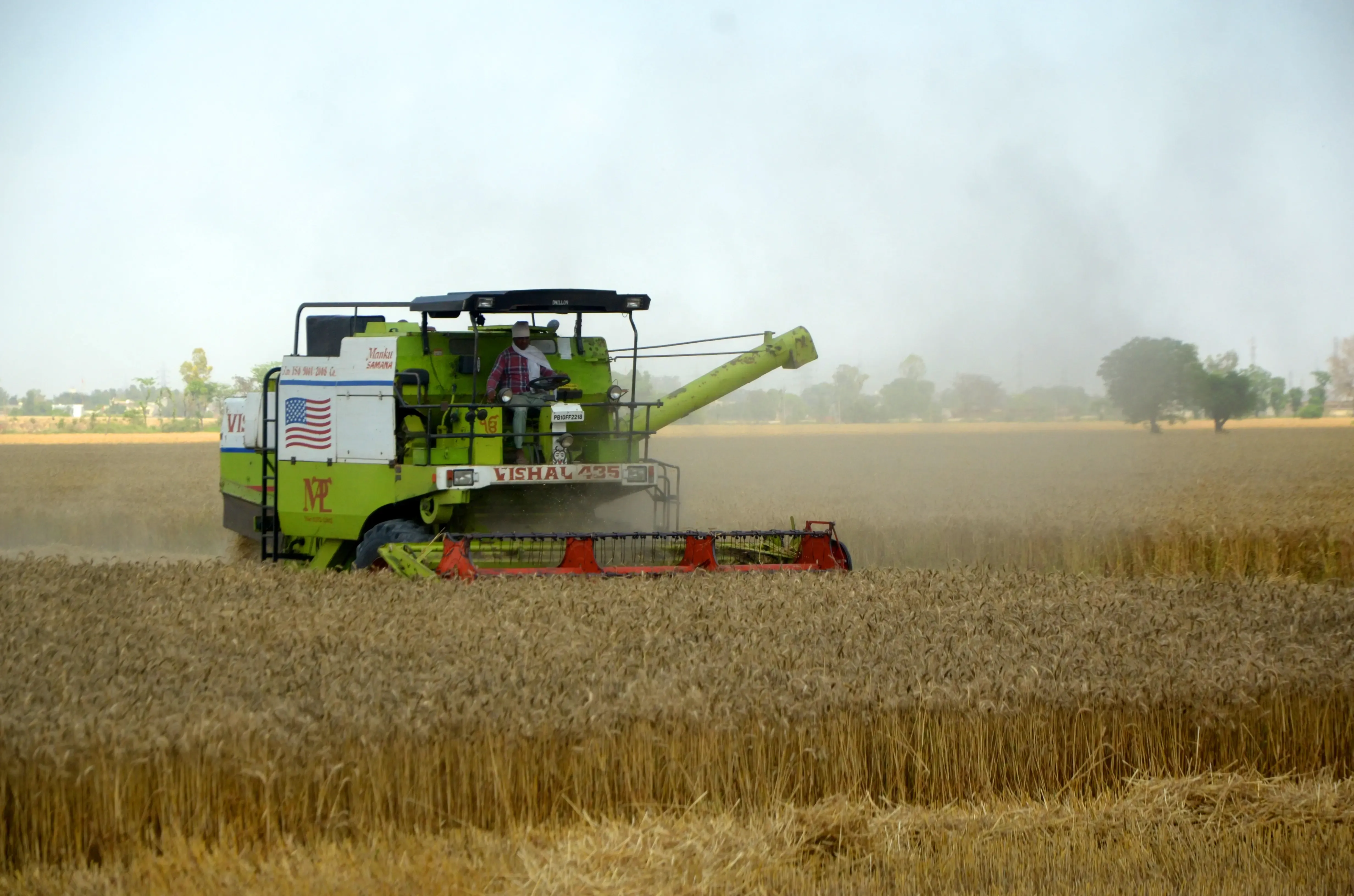 What is the MSP for wheat procurement in Gujarat for the Rabi Marketing Season 2026-27?