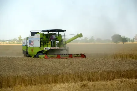 What is the MSP for wheat procurement in Gujarat for the Rabi Marketing Season 2026-27?