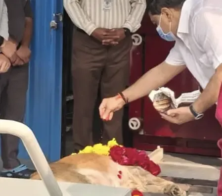 Is Gujarat’s First CNG-Powered Dog Crematorium Now Open in Ahmedabad?