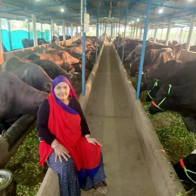 How did Gujarat's Maniben achieve milk sales worth Rs 1.94 crore in 2024-25 and target Rs 3 crore this year?