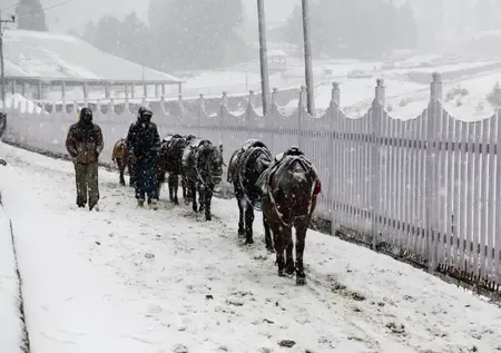 Gulmarg freezes at minus 8.8, cold wave intensifies in J&K