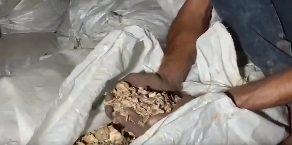 गुना में ₹3 करोड़ का डोडा चूरा जब्त, एस्कॉर्ट कार की टक्कर से बाइक सवार दंपती की मौत