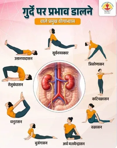 गुर्दों को स्वस्थ रखने वाले 8 योगाभ्यास: मोरारजी देसाई संस्थान की सलाह और सही विधि