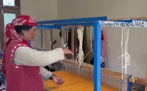 Sharan village weavers: How Himachal's Handloom Village is reviving traditional craft