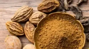 क्या हरड़ को अमृत कहा जाना सही है? आयुर्वेद से जानें इसके अद्भुत लाभ