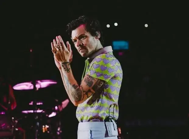 What Did Harry Styles Learn During His Music Break?