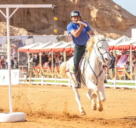 Did Haryana DGP Congratulate Indian Tent Pegging Team for World Cup Qualification?