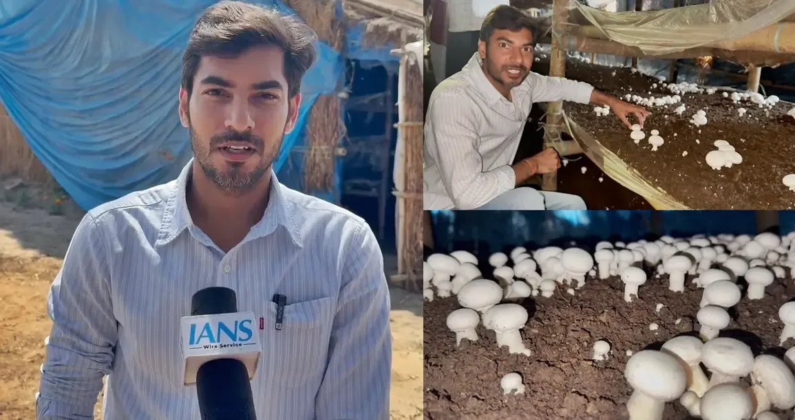 Haryana Farmer Transforms Life with Profitable Mushroom Farming After Leaving Teaching Career