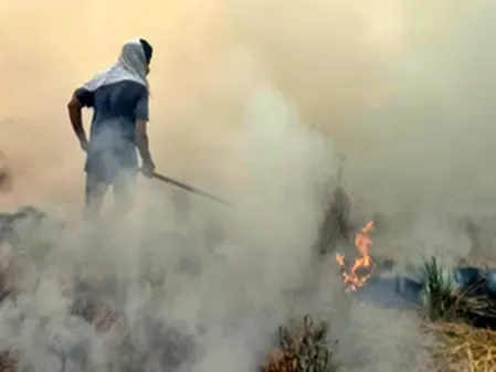 How is Haryana Effectively Tackling Stubble Burning?
