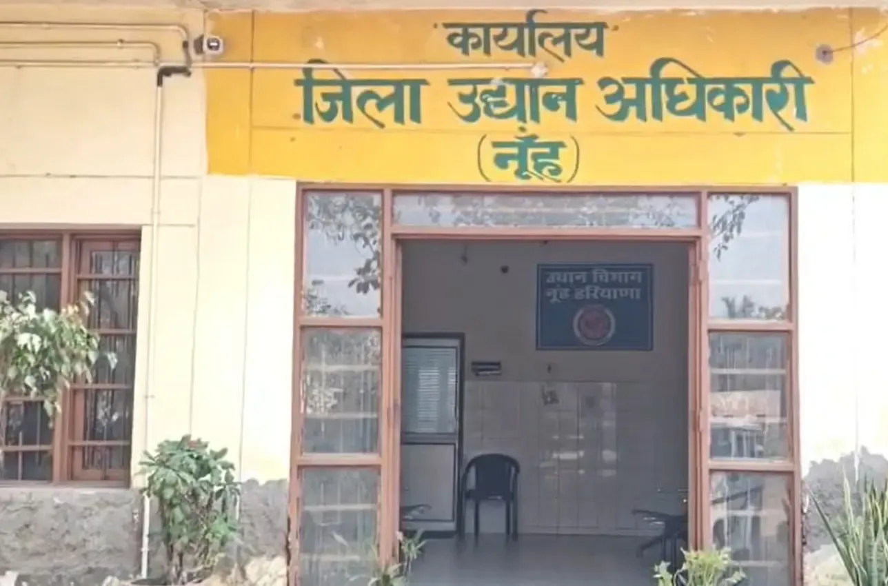 क्या मधुमक्खी पालन हरियाणा के बेरोजगार युवाओं और भूमिहीन किसानों के लिए आय का साधन बन सकता है?