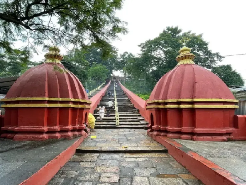 क्या हयग्रीव माधव मंदिर में भगवान विष्णु को कछुए अर्पित किए जाते हैं?