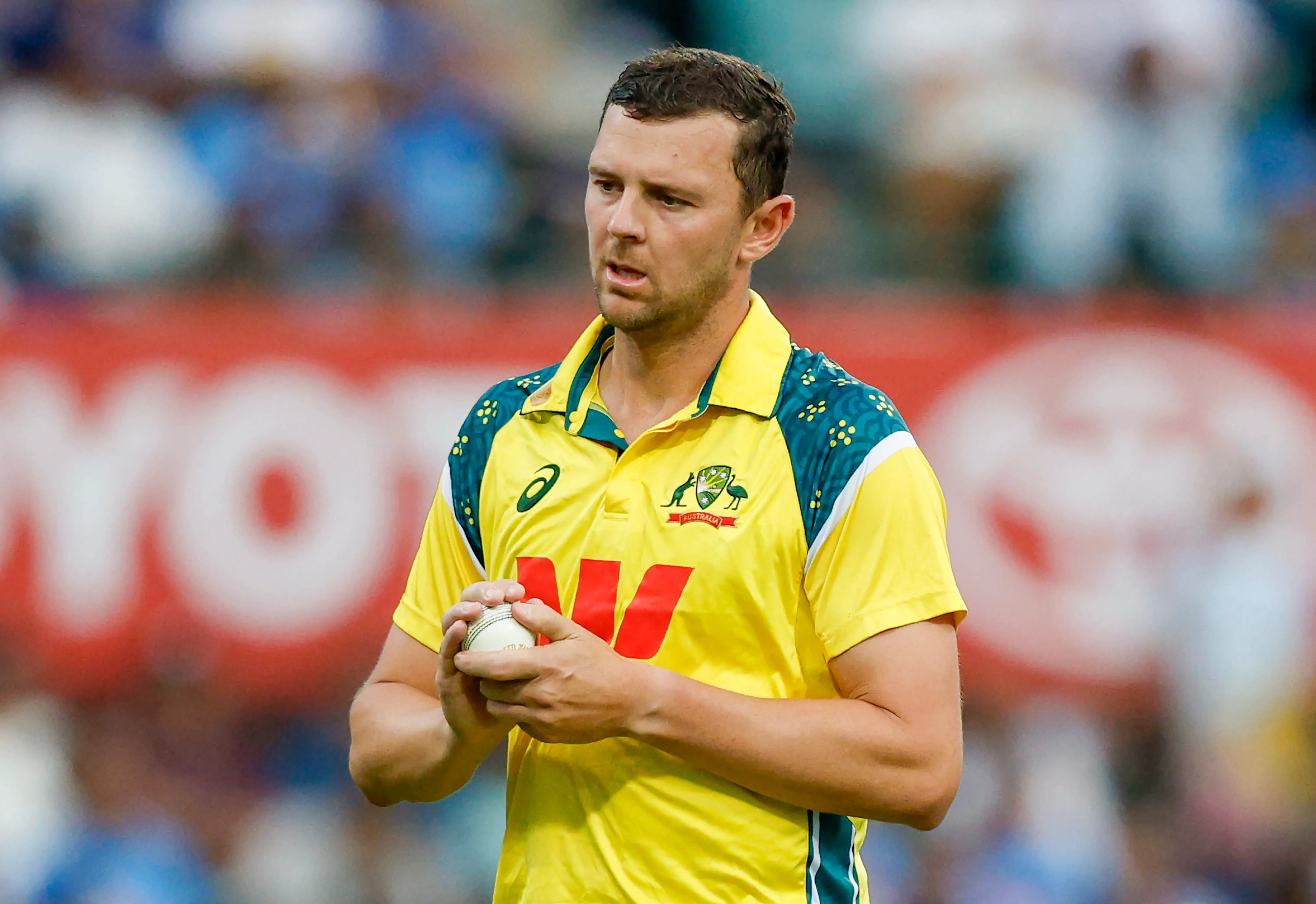 Is Josh Hazlewood Facing Another Injury Setback?