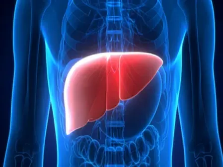 लिवर की सेहत के लिए आयुष मंत्रालय की सलाह: अपनाएं आयुर्वेदिक आहार और माइंडफुल खाने की आदतें