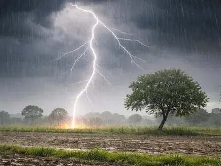 Madhya Pradesh Suffers Under Heat; Thunderstorms Expected with Lightning Fatalities