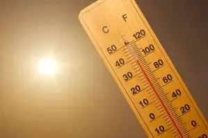 Heatwave in Bihar Escalates, IMD Alerts 31 Districts