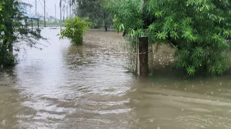 Heavy rain disrupts Madhya Pradesh; schools shut in Bhopal on 10 Aug