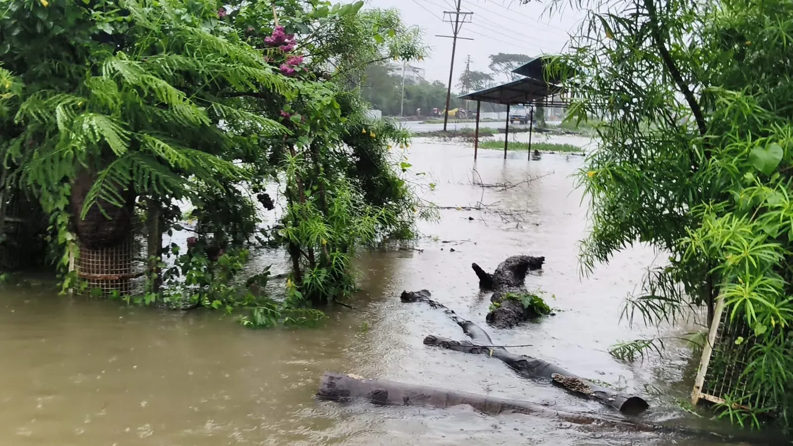 Rajgarh van swept into drain: 5 dead, 3 missing as heavy rain batters Madhya Pradesh